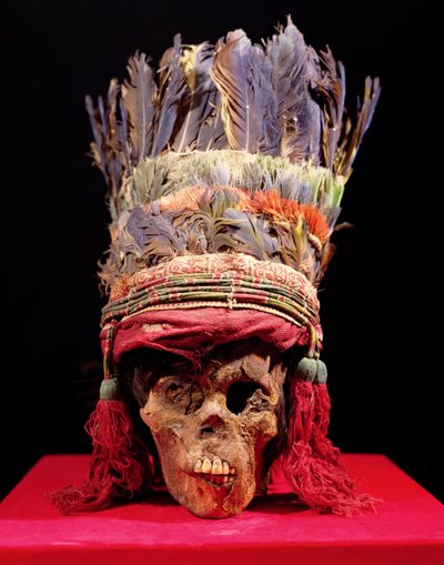 Copricapo piumato su un teschio, dal Perù da Nazca Culture